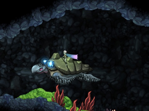 Aquaria Turtle