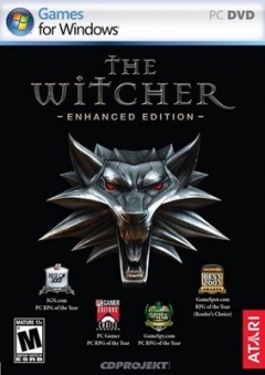 the Witcher Cover