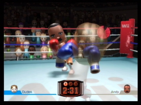 wii Sports Boxing